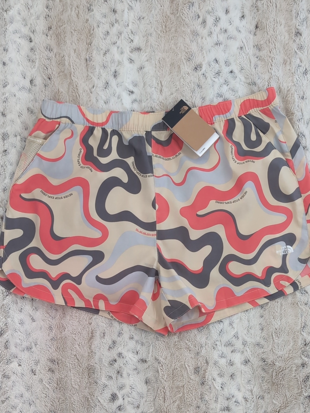 The North Face Class V Pathfinder Shorts